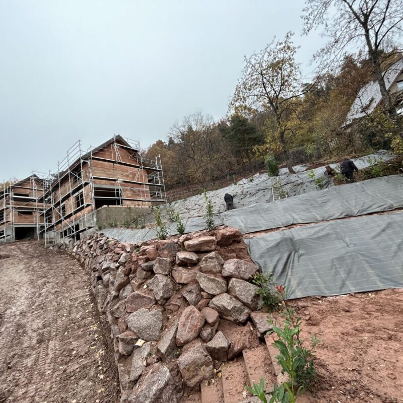 IMG_2315 800X800 | Art TP Est Art TP Est : Paysagiste pour vos travaux d’aménagement, terrassement et d’assainissement près de Strasbourg vers Obernai Belfort 1